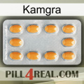 Kamgra cialis3